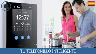 Portero automático: cambio del antiguo telefonillo analógico a nuevo Qvadis domótico.